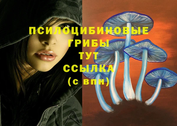 гашишное масло Саяногорск