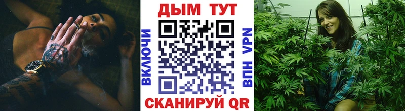 Купить закладки  Магнитогорск  Бошки марихуана семена 